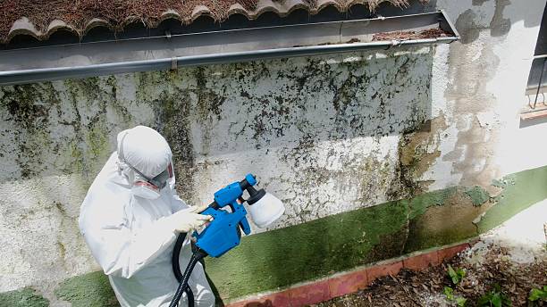 Top rated local Crawl Space Mold Remediation specialists in Prince Frederick, MD